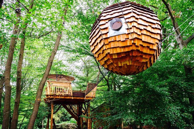 Une nuit en pleine nature au sein d'une cabane dans les arbres Une nuit en pleine nature au sein d'une cabane dans les arbres