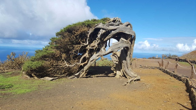El Hierro : l’île canarienne méconnue alimentée par les énergies renouvelables
