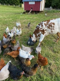 Vacances à la ferme : l’agrotourisme très en vogue cet été ! Vacances à la ferme : l’agrotourisme très en vogue cet été !