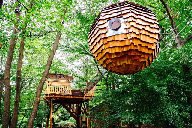 Une nuit en pleine nature au sein d'une cabane dans les arbres