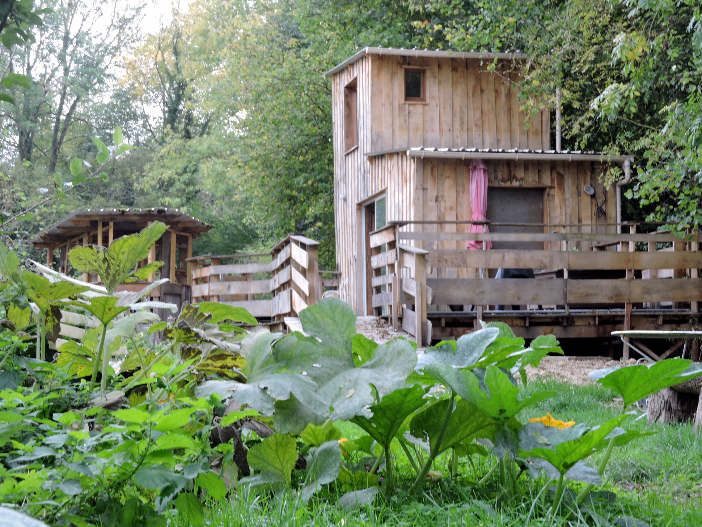 Une cabane écologique au milieu des vignobles de Champagne