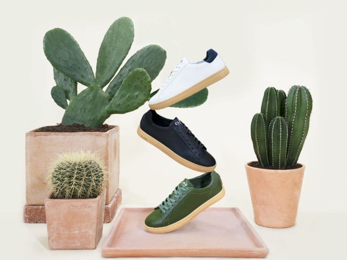 Les premières sneakers modernes en cuir de cactus