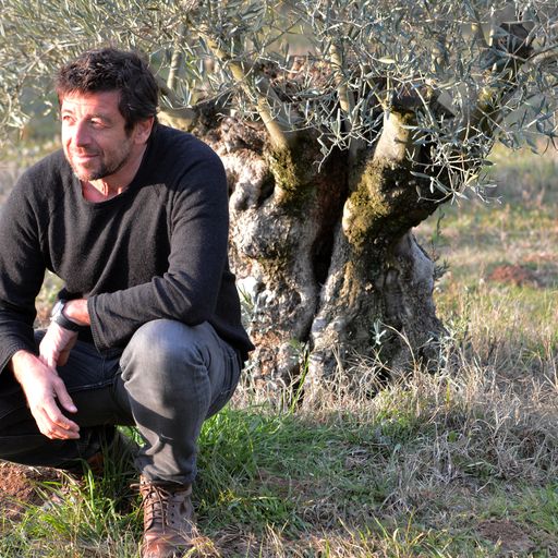 On en parle… de l’Olivier de Leos avec Patrick Bruel