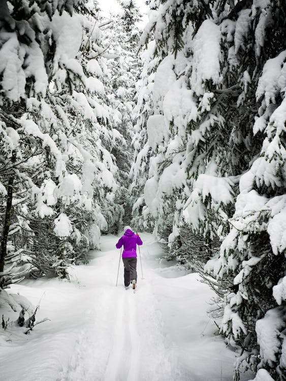 Label flocon Vert : Les bons élèves du ski responsable