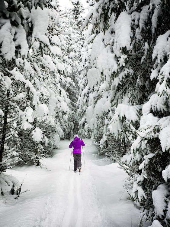 Label flocon Vert : Les bons élèves du ski responsable