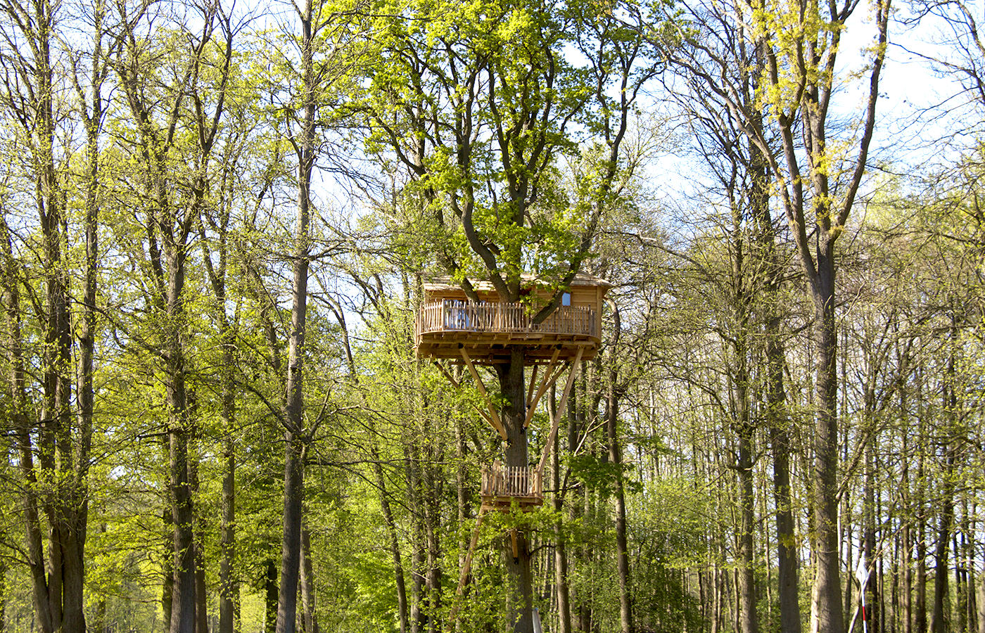La Cabane Imprenable, perchée à 13 mètres du sol