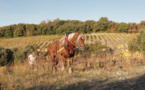 Du vin respectueux pour une vie SEREN