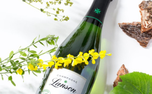 ​Green label : Lanson fait le pari du champagne écologique
