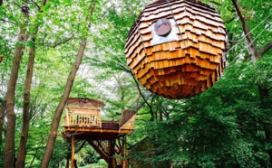 Une nuit en pleine nature au sein d'une cabane dans les arbres