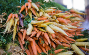 La troisième édition du festival "Food For Change" est sur le point de commencer !