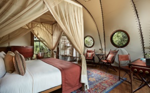 ​Wild Coast Tented Lodge : une nuit au pays des léopards ?