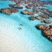 The Brando, Tetiaroa