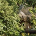 Four Seasons Resort, Langkawi, Malaisie